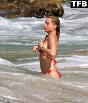Nicollette Sheridan