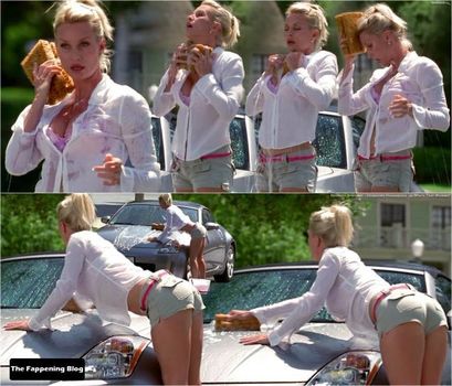 Nicollette Sheridan