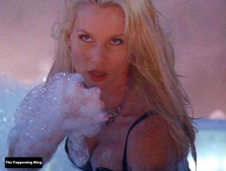 Nicollette Sheridan
