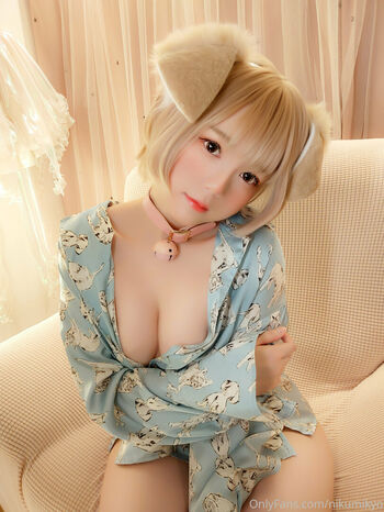 Nikumikyo
