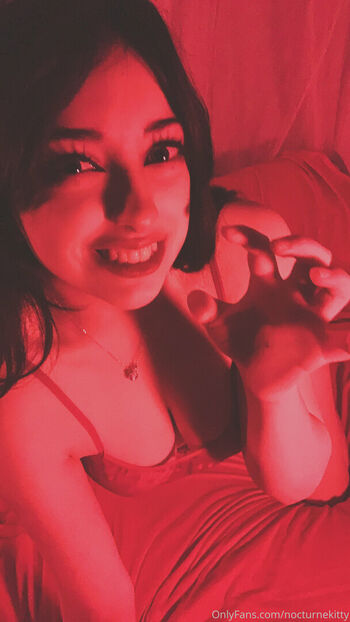 nocturnekitty