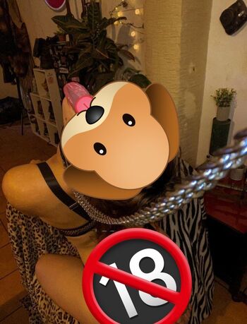 Nosilaa