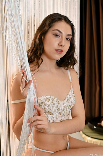 Nuss.model