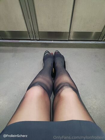 nylonfrollein