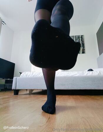 nylonfrollein