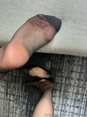 nylonfrollein
