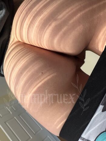 Nymphruex