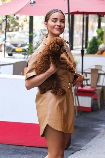 Olivia Culpo