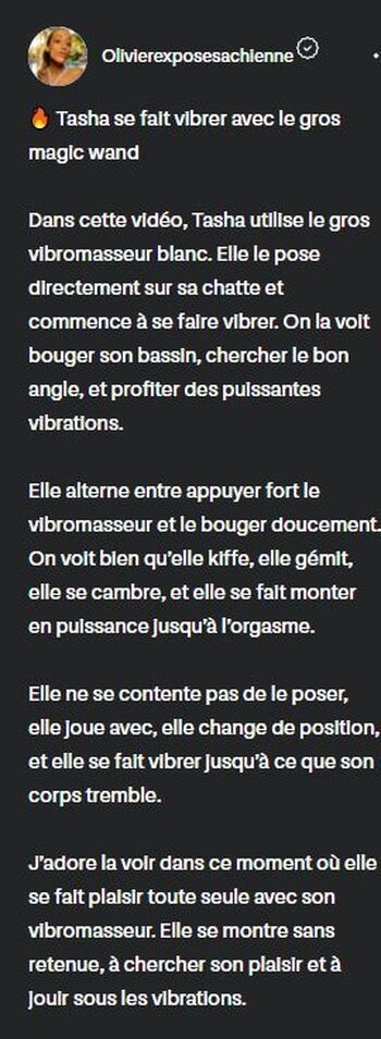 Olivierexposesachienne