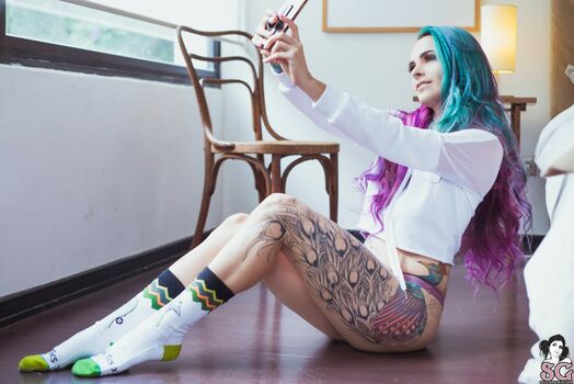paloma