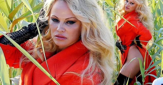 Pam Anderson