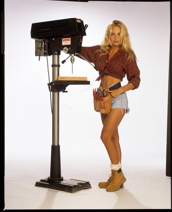 Pamela Anderson