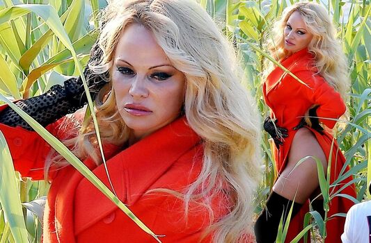 pamelaanderson