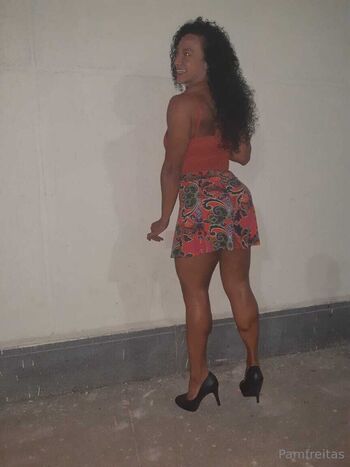 pamfreitas