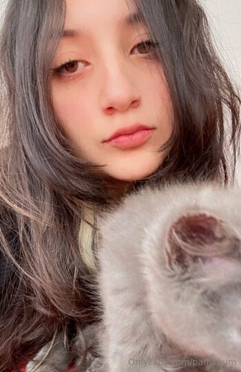 pamimum