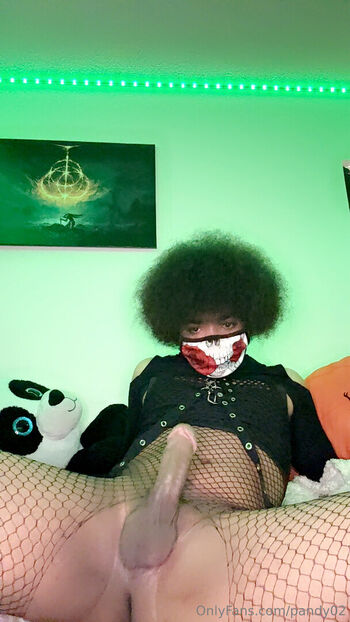 pandy02