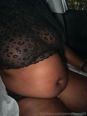 pennythepig92