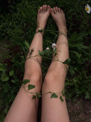 perelin_night_forest