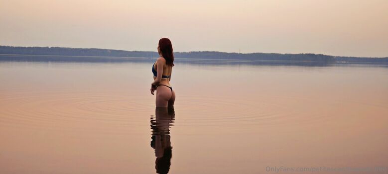 petitescandinavian.free