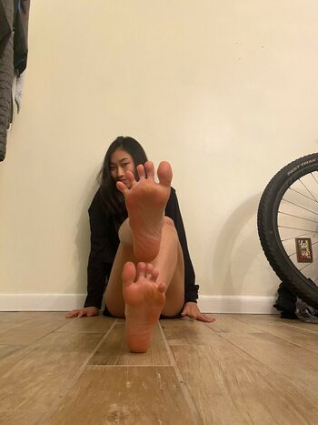 Peyton Nori