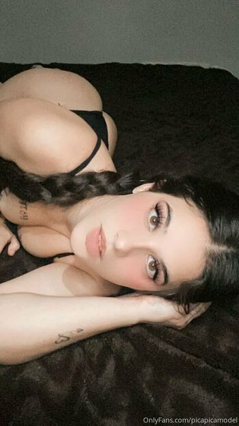 picapicamodel