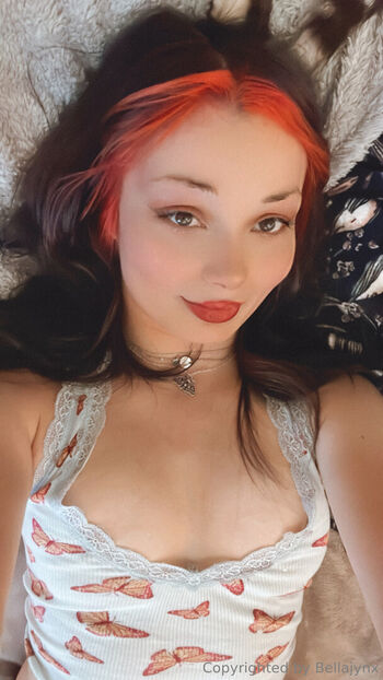 Pixiecat