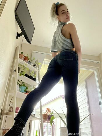 pixienicky