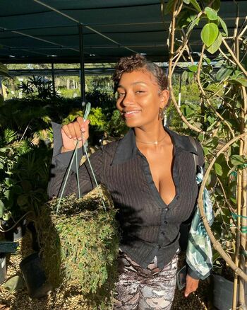 Plantbae