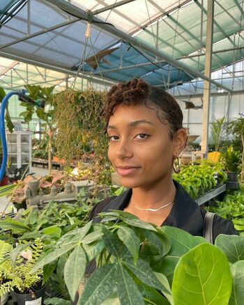 Plantbae