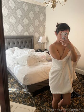 playfuldot