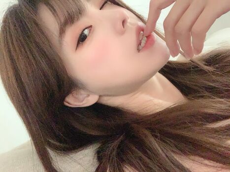 plppt123