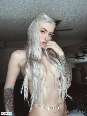 pokket_official