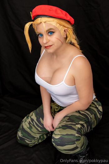 Pokkypau