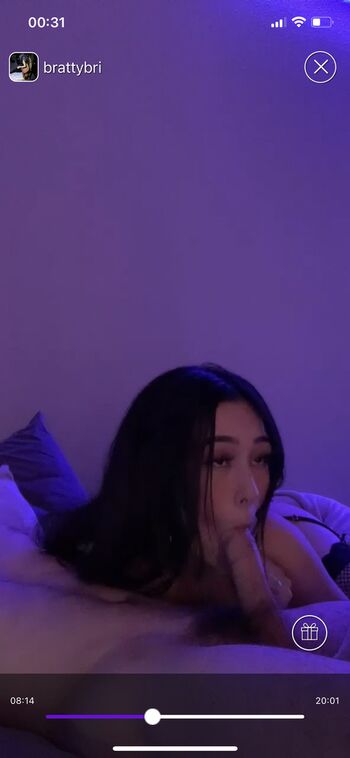 Premebrii