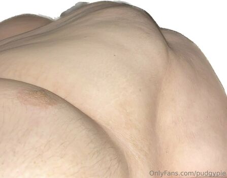 pudgypie