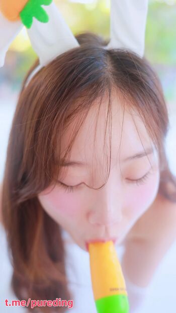 Pureding 퓨딩