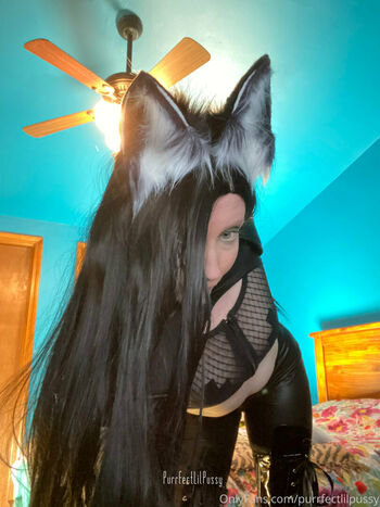 purrfectlilpussy