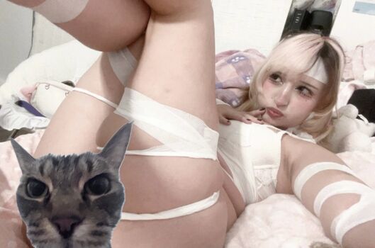 purrfectmeowiee