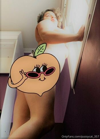 pussycat_357
