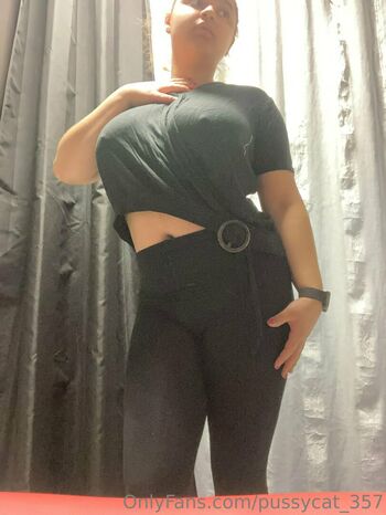 pussycat_357