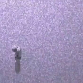 &Quot;Quem É Essa&Quot; Pesquise Nomes Aqui.