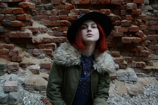 red_rose12