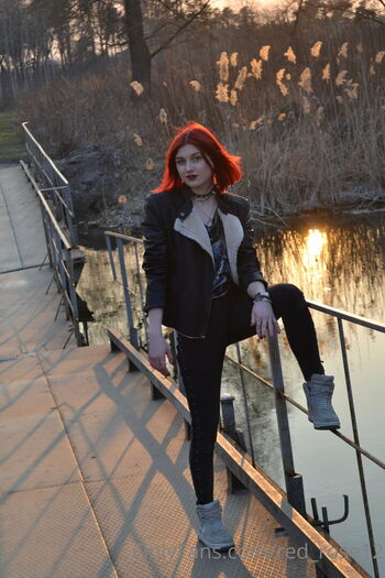 red_rose12