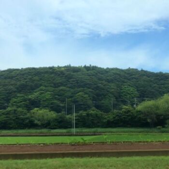 Rio Fujisawa
