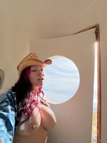 Salicerose