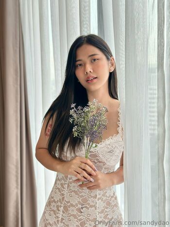 sandydao