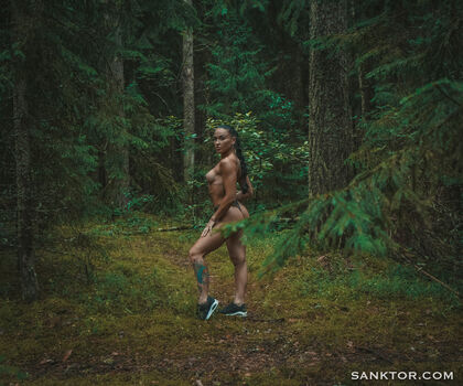 Sanktor