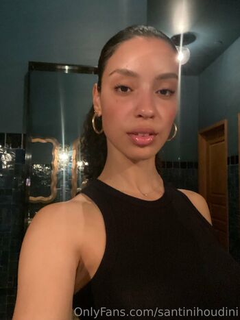 santinihoudini