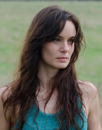 Sarah Wayne Callies