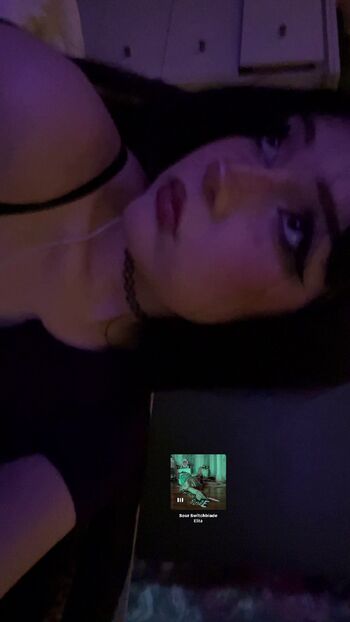 shelbypng
